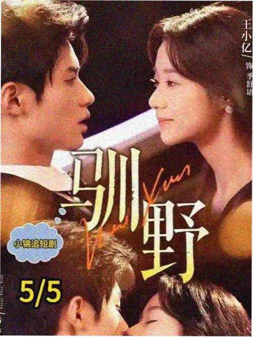 免费影视网站在线观看电视剧 白夜追凶 悬疑刑侦
